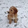 finnybuckley